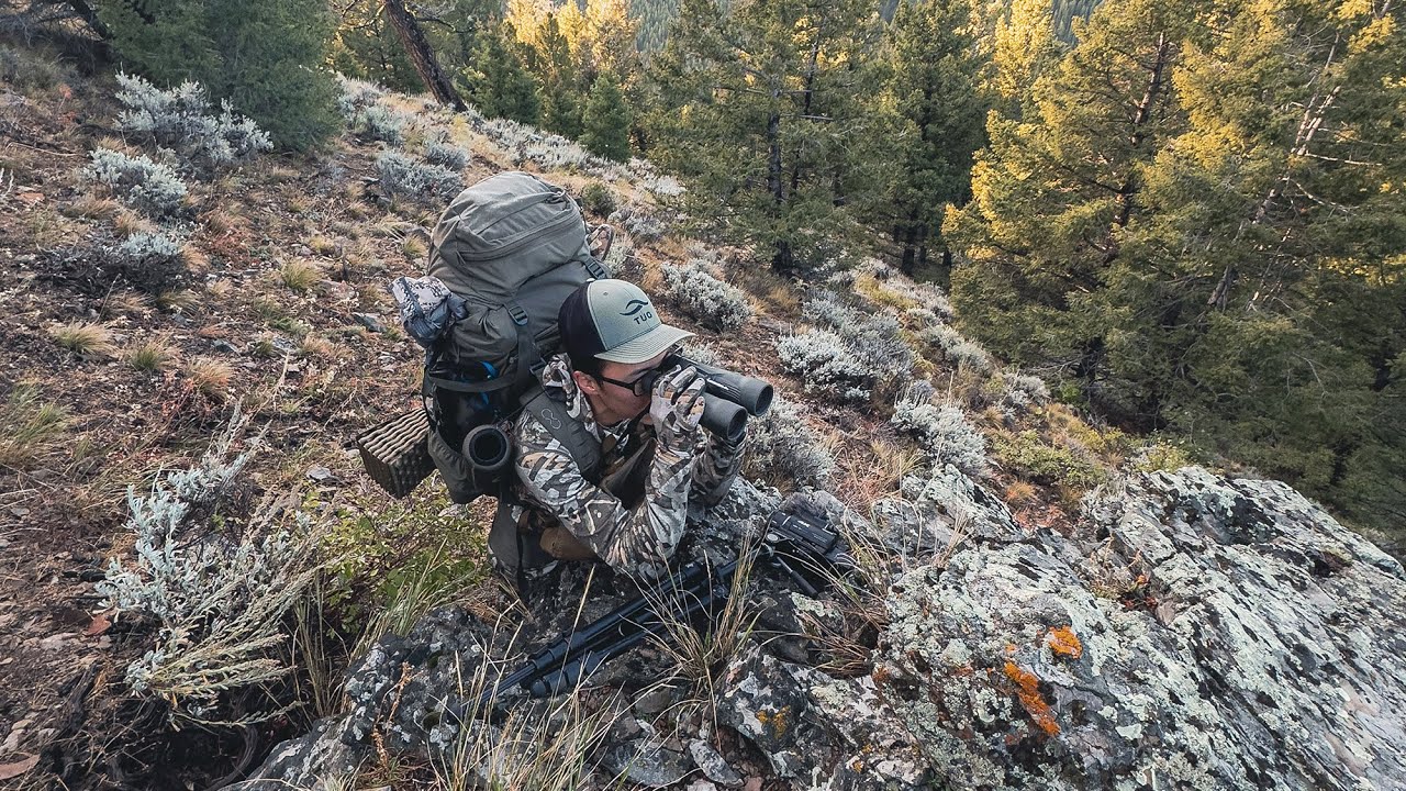 5 Days Hunting in New Mountains | Bonsai Archery Elk Hunt