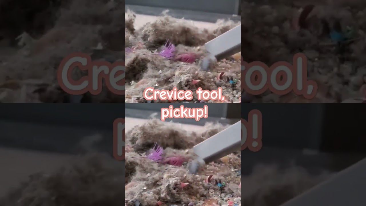 BISSELL TOOL VACUUMING: #dirt #dirtmess #vacuuming #vacuumingasmr #vaccommunity #oddlysatisfying
