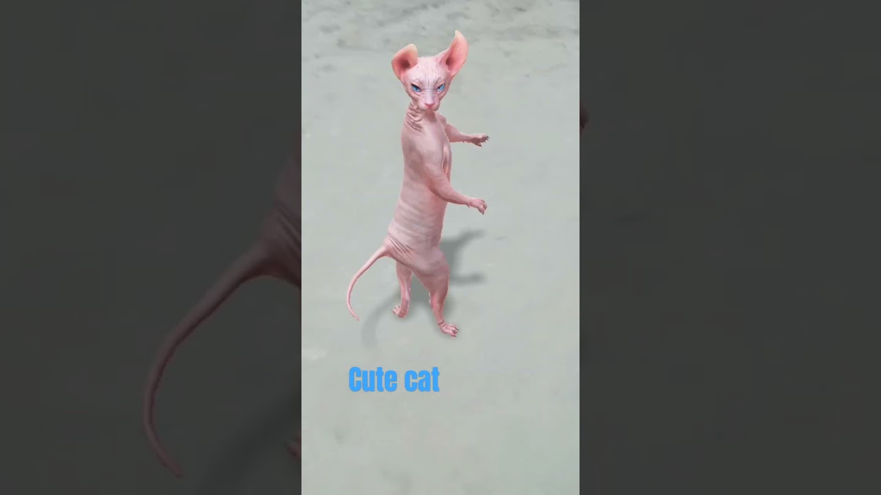 videshi cat 🐈 funny # dance 🤣 viral # video 😍 trinding #shorts