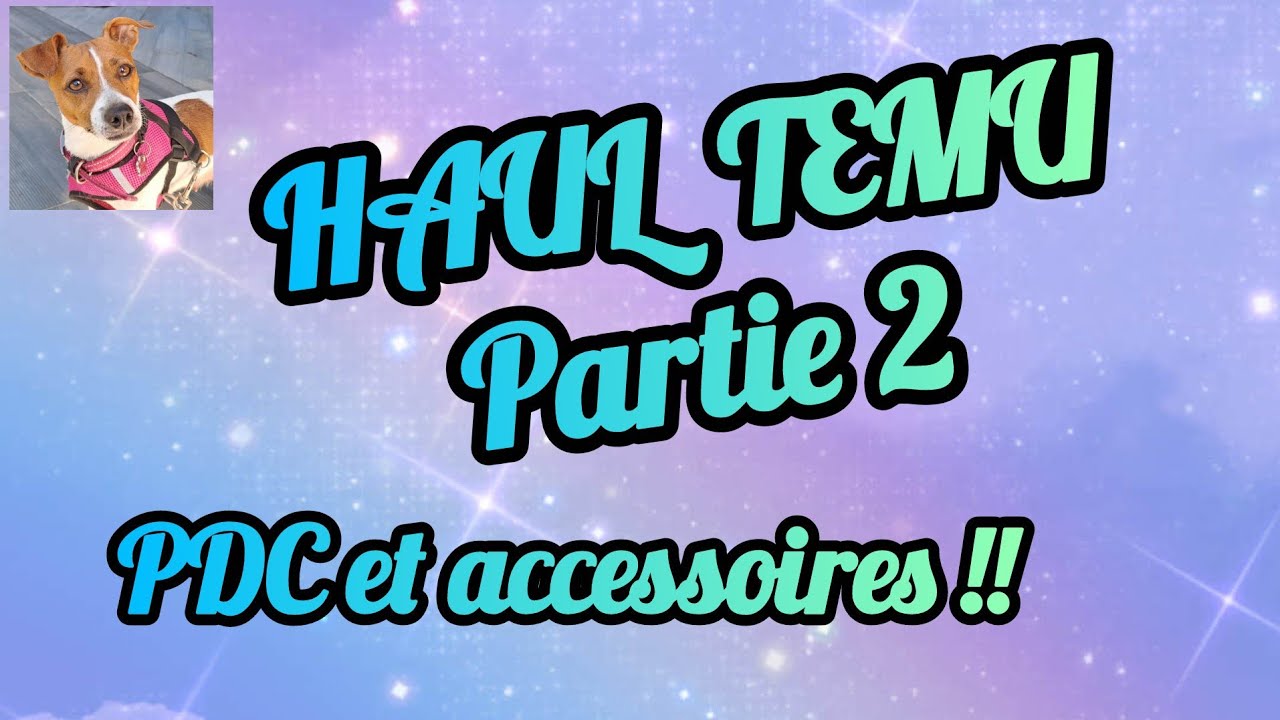 HAUL TEMU PARTIE 2 #pdc #pointdecroix #plaisir #pourtoi #pourtous