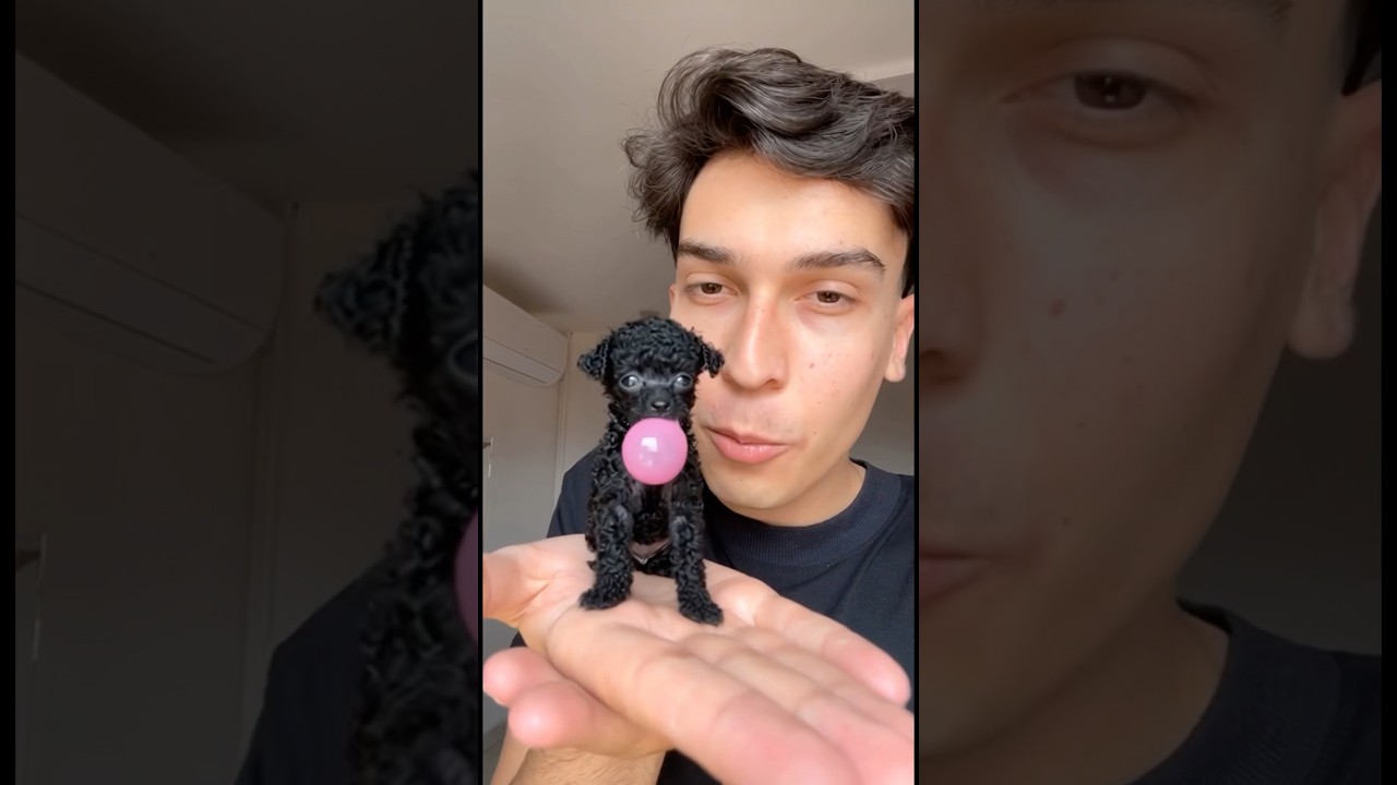 Como ele fez isso?