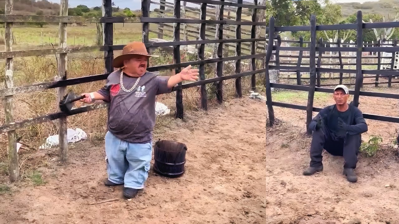 PILILIU AGORA TÁ ACHANDO QUE É PINTOR, ARRUMAÇÃO DA MULESTA | MELHORES MOMENTOS ENGRAÇADOS
