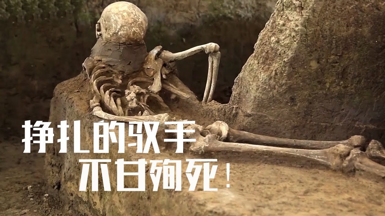 毛骨悚然！车马坑上的驭手与主人浴血疆场 没死在战场却被活生生的殉葬 《2021考古进行时》第四季 邵家棚遗址发掘记 | 中华国宝