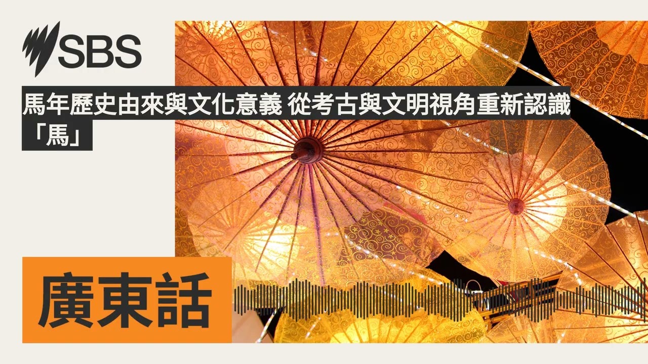 馬年歷史由來與文化意義 從考古與文明視角重新認識「馬」 | SBS Cantonese - SBS廣東話節目