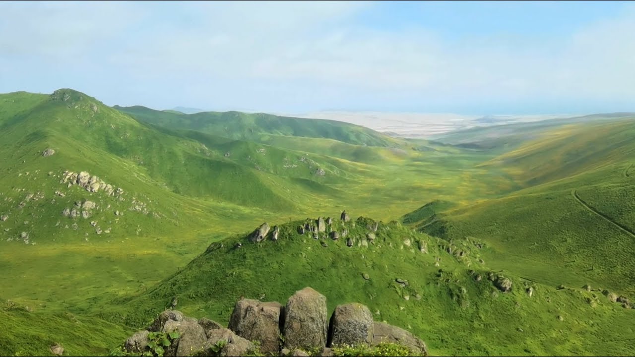 Vive como sueñas | Reserva Nacional de Lachay