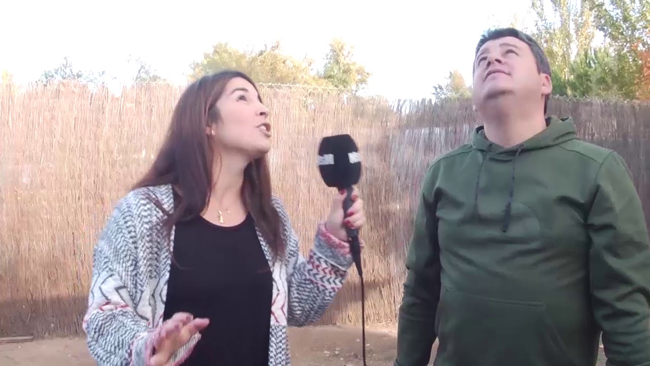 Madrid se Mueve 69 Reportaje Colombofilia