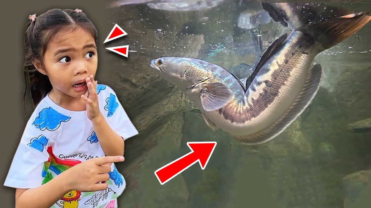 10 อันดับสัตว์แปลก ประเทศไทย | บริ้งค์ไบรท์