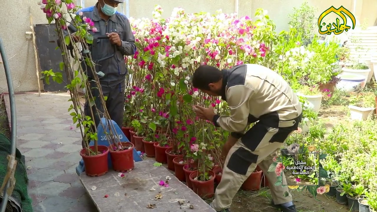مشتل العتبة الكاظمية مرفق آخر للإبداع والفن والجمال الكاظمي
