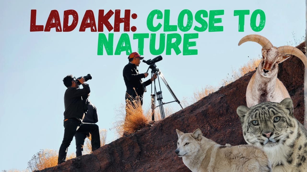 Exploring the wild mountains of Ladakh | A Day close to the Nature