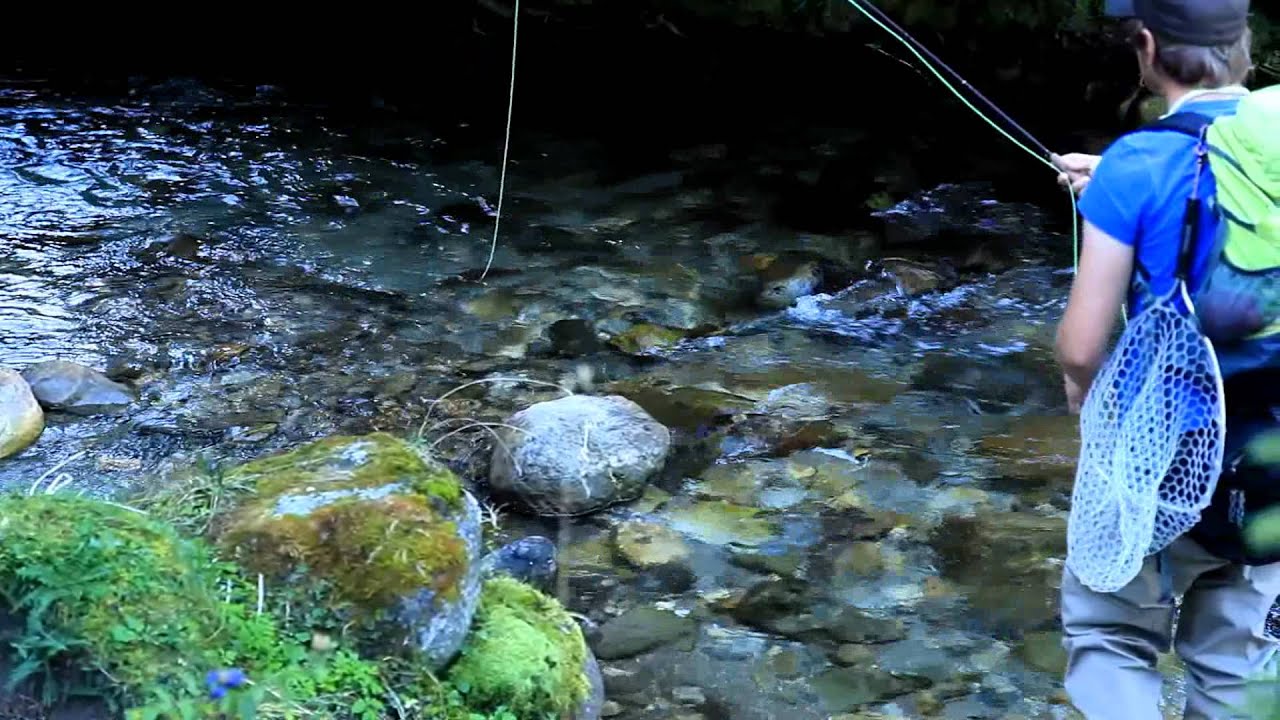 Fliegenfischen an der Taurach/ Fly Fishing River Taurach.wmv