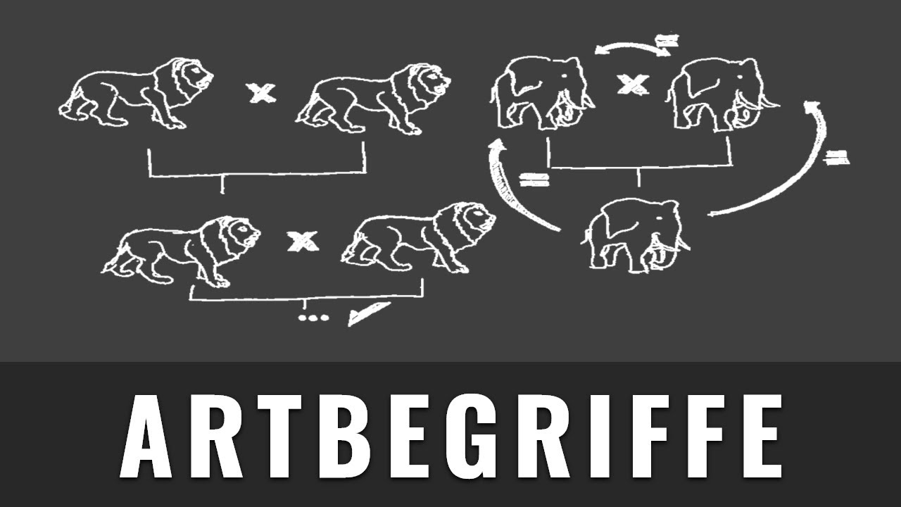Artbegriffe | Biologischer & Morphologischer Artbegriff | Wie definiert man eine Art | Evolution