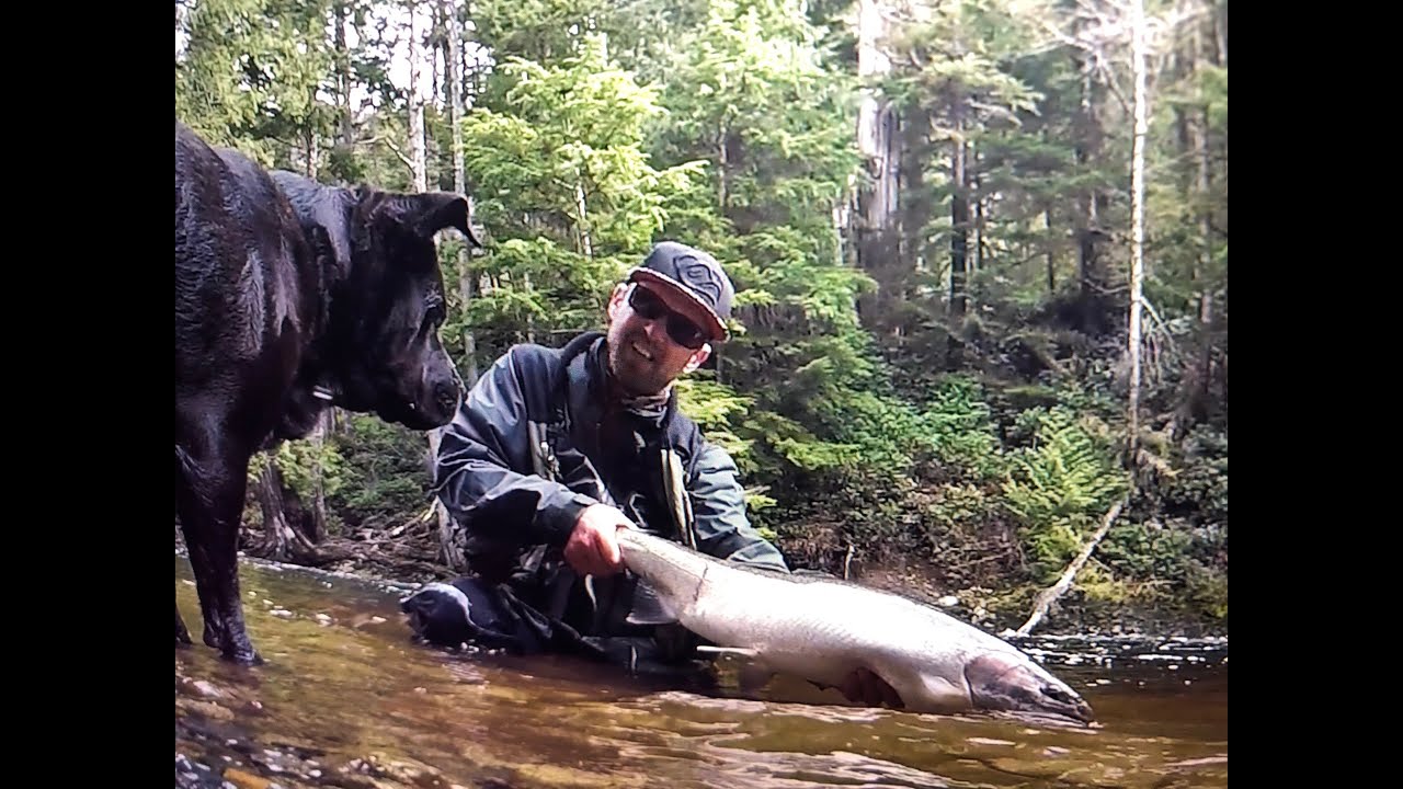 March madness Steelhead fishing, 20 plus steelhead in 3 days!