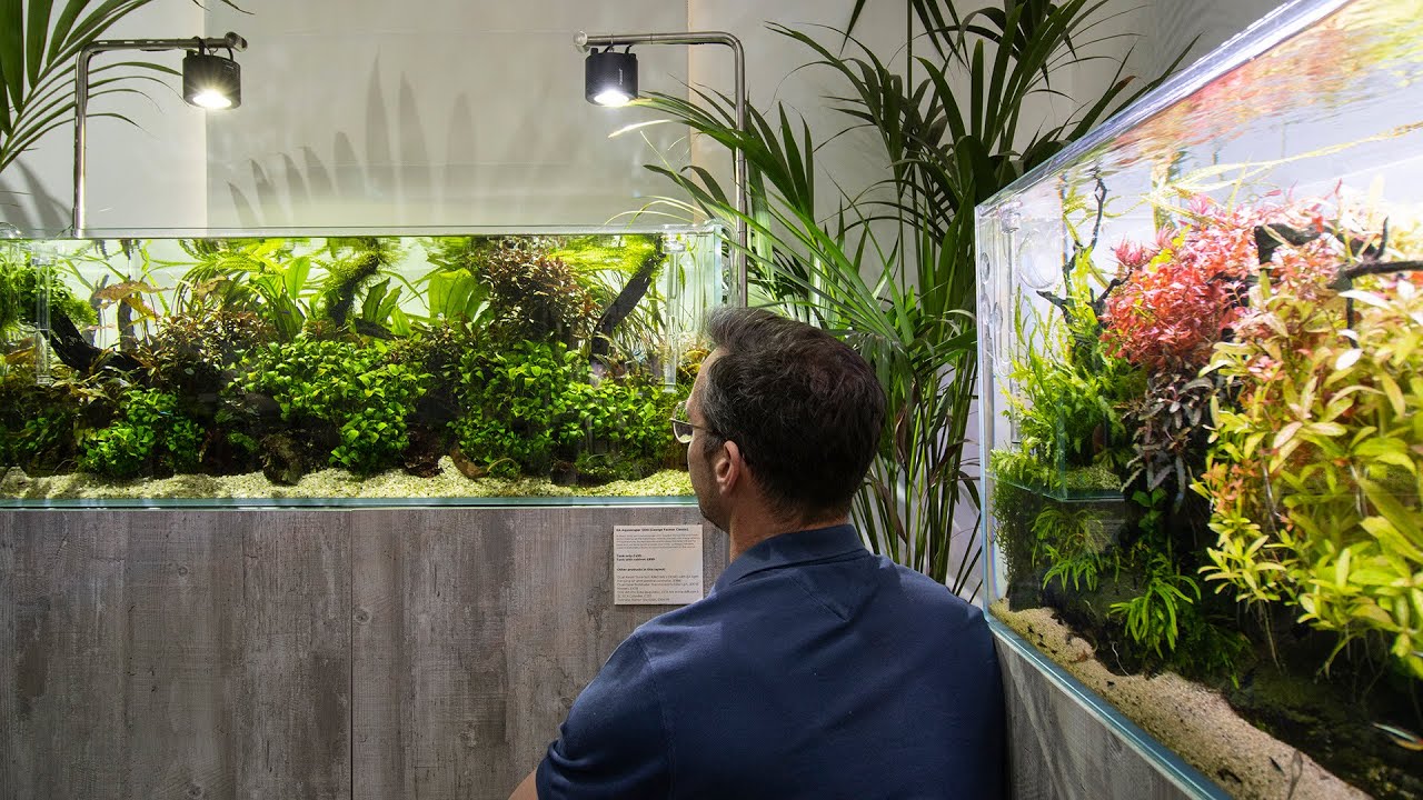 The Beautiful Aquascapes at Scaped Nature - 2021 Cinematic
