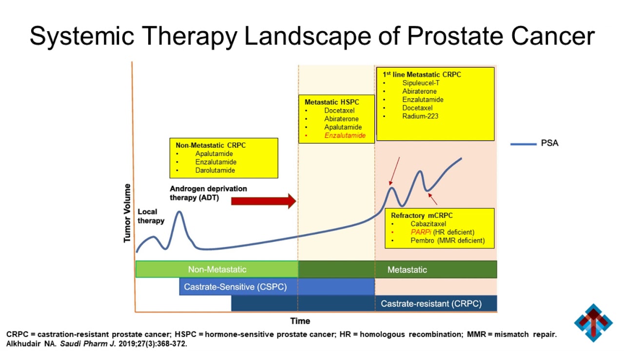 Prostate Cancer: Clinical Guidelines, Novel Therapies, and Therapeutic Uncertainty