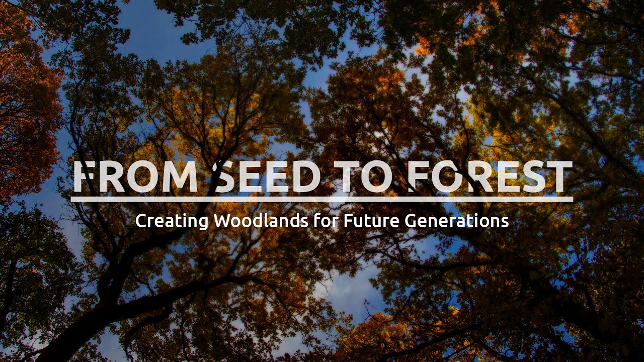 From Seed To Forest: Creating Woodlands for Future Generations