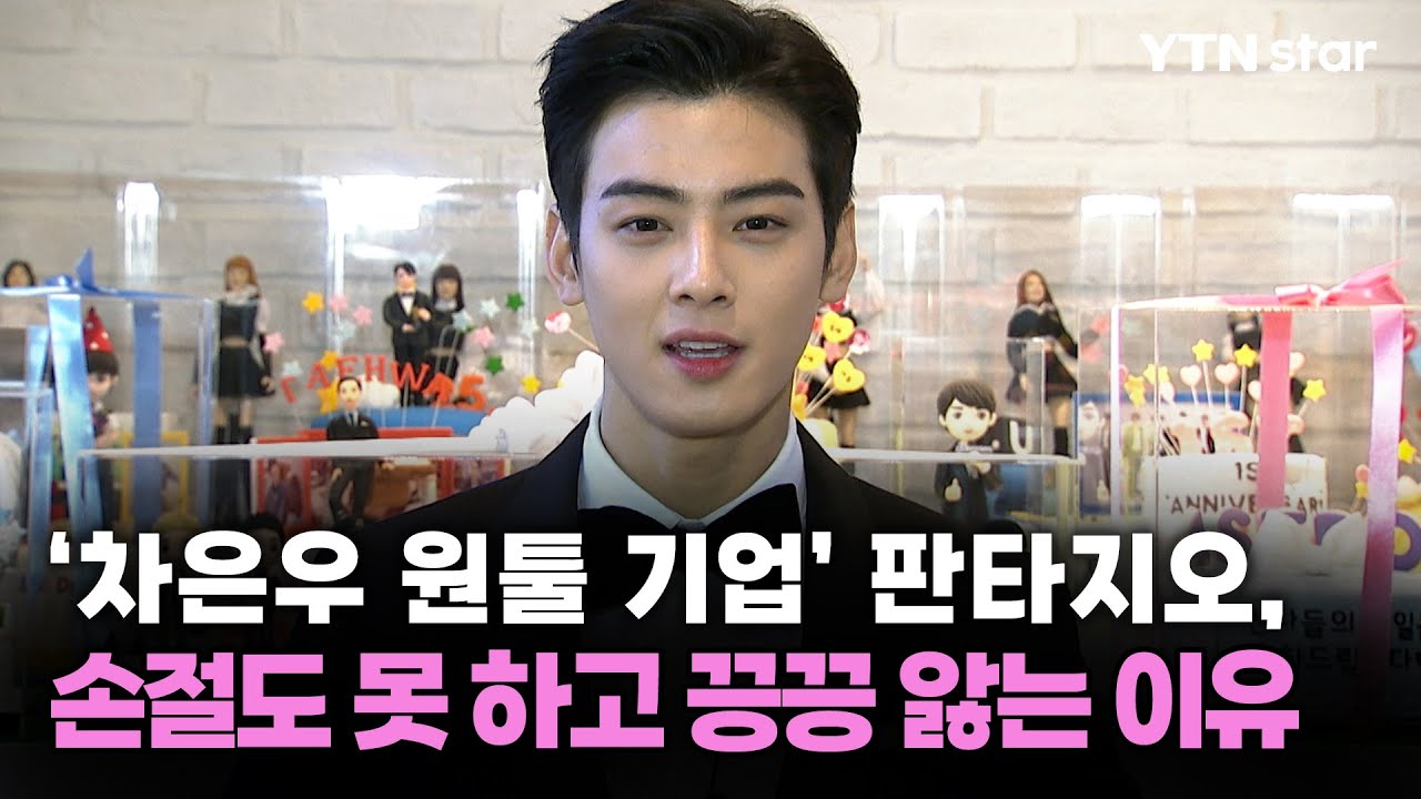 '차은우 원툴 기업' 판타지오, 손절도 못 하고 끙끙 앓는 이유 / YTN star