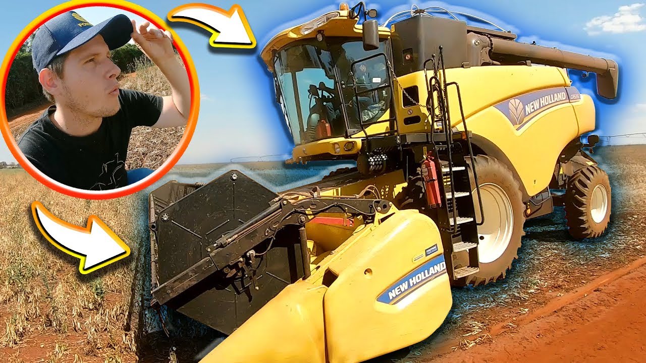 COLHENDO FEIJÃO COM A NEW HOLLAND CR5.85