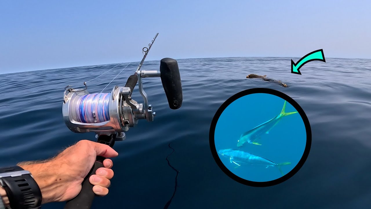 Lake Atlantic Drift Wood Stacked With Fish!! Montauk Marlin Attempt Offshore Fishing!!