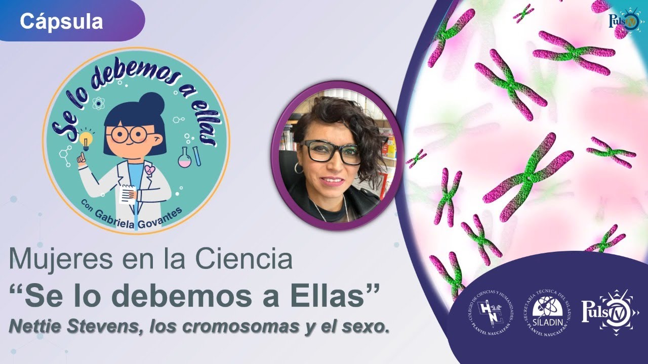 Se lo debemos a ellas | Nettie Stevens, los cromosomas y el sexo