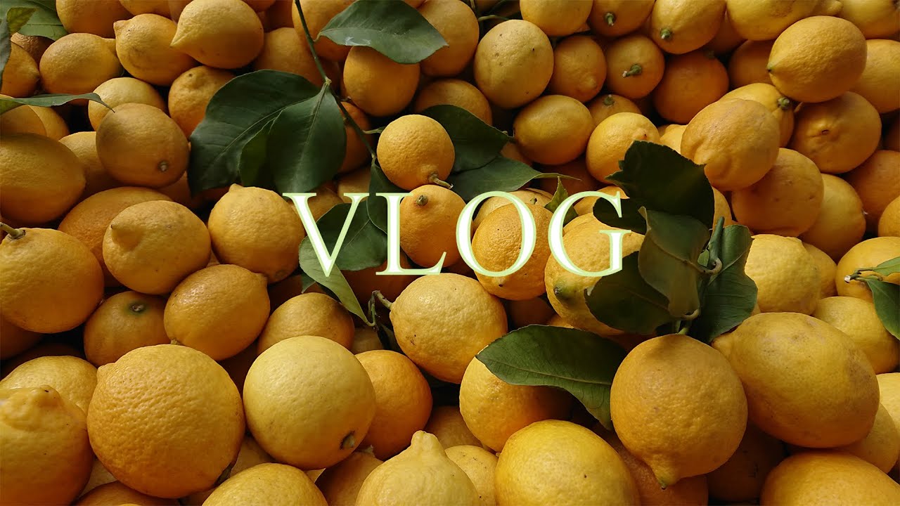 Merida Vlog 🌸 Uzun zaman sonra dışarı çıktım - Market and Turkish Delight shop