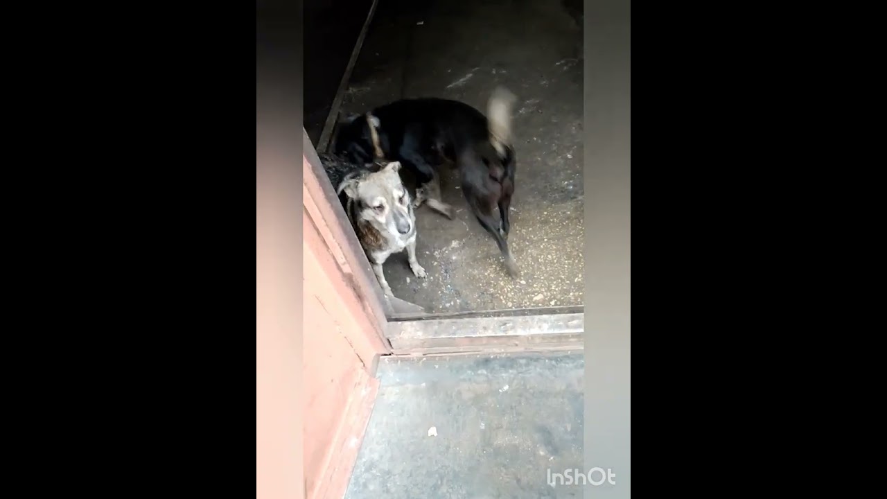 По дороге на работу 