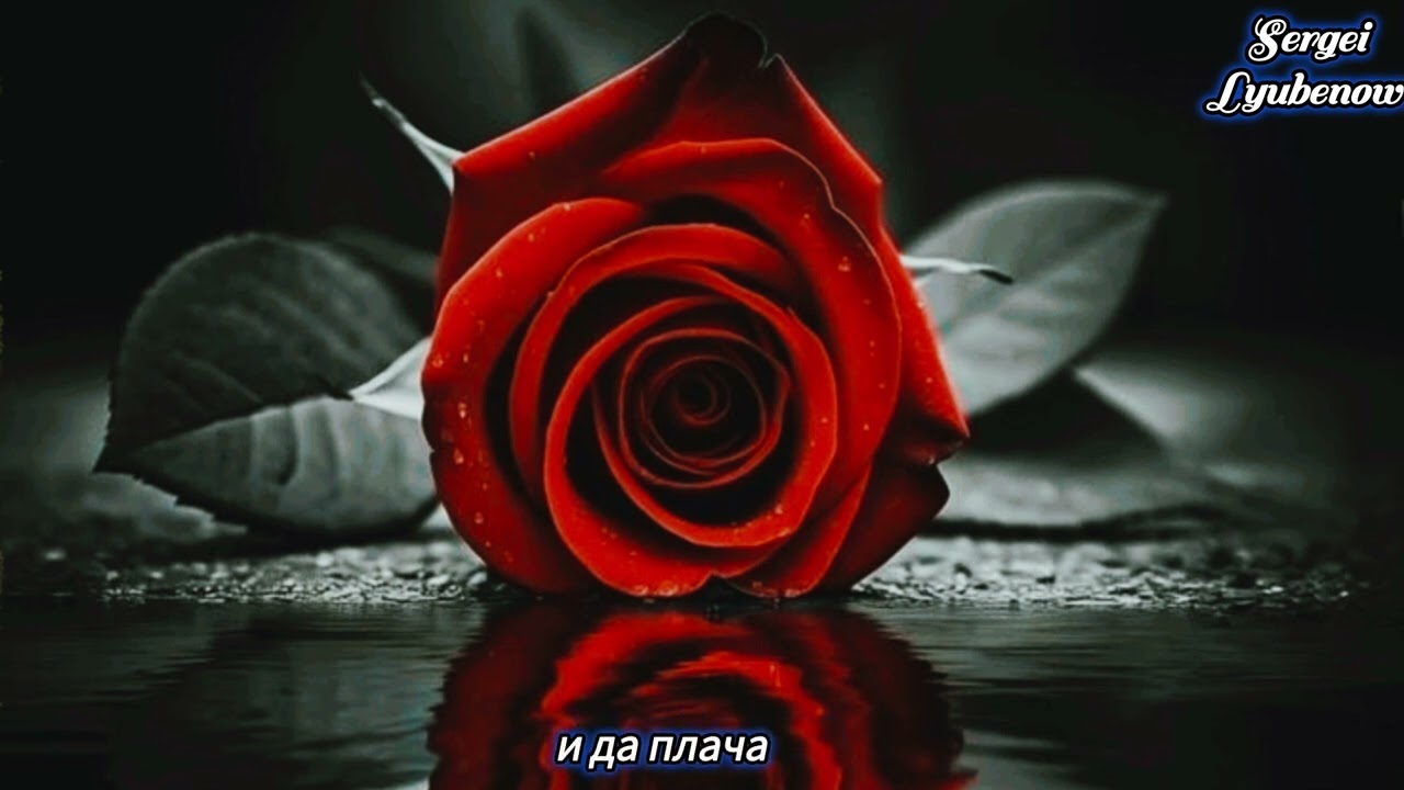 В мойта обич ти не вярваш (cover) 2026 #sergeilyubenow #balada #love 
