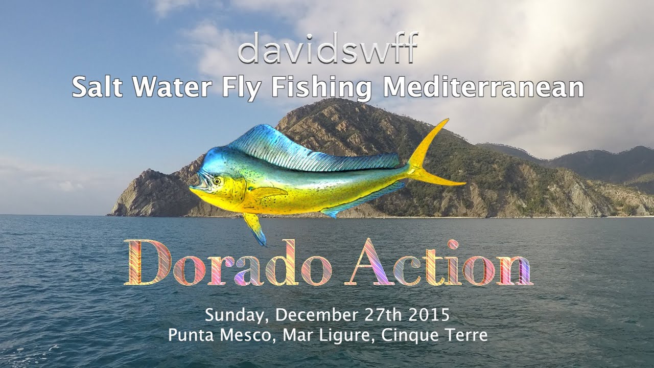 Winter Dorado Action! Salt Water Fly Fishing Mediterranean