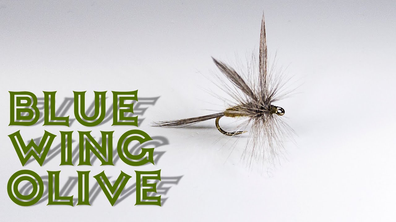 Blue Wing Olive - Fly Tying Tutorial