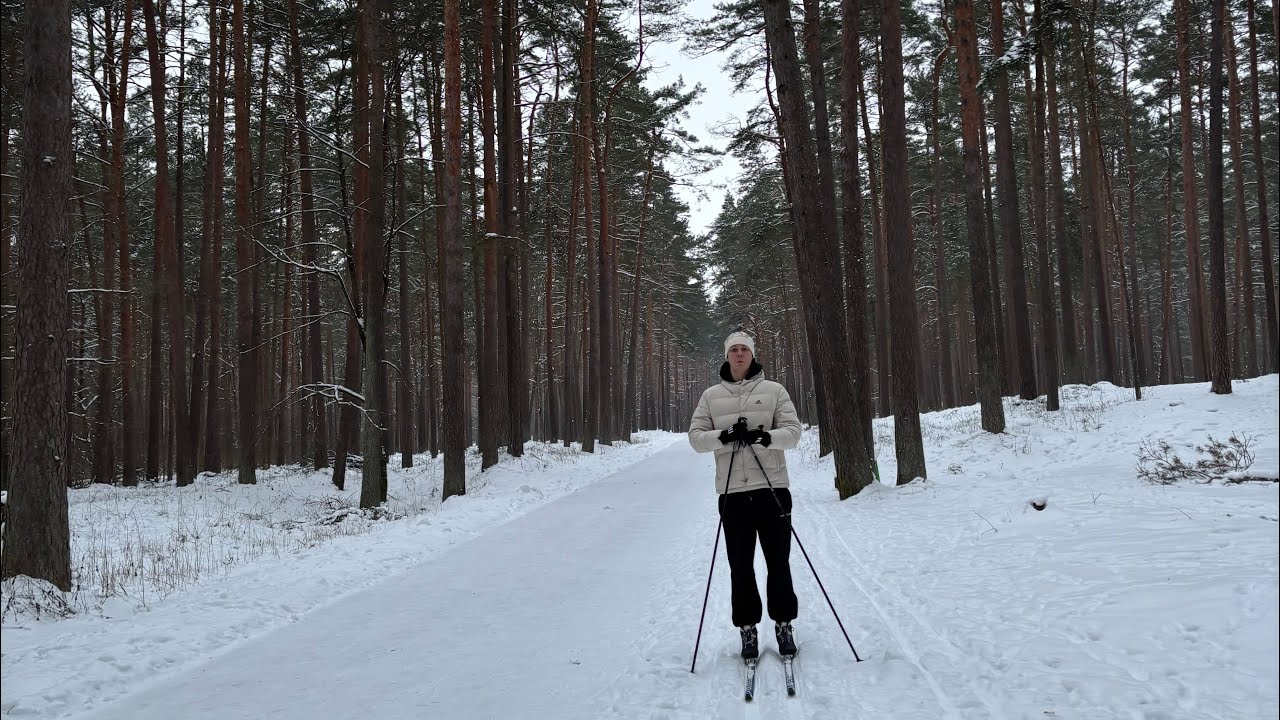 Рига день 76. Учимся кататься на лыжах. В Межапарке пилят лес? Winter Mezaparks