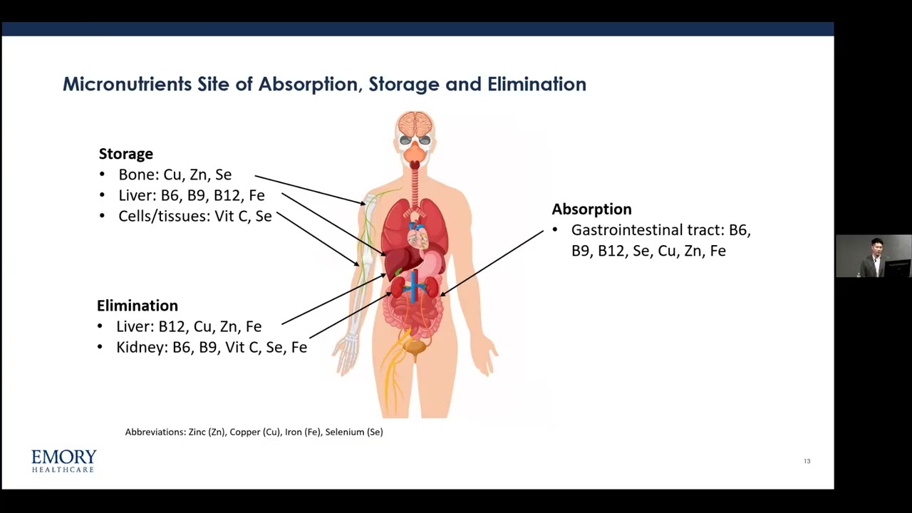 Tiny Nutrient, Big Impact: Unmasking Micronutrient-Related Anemia