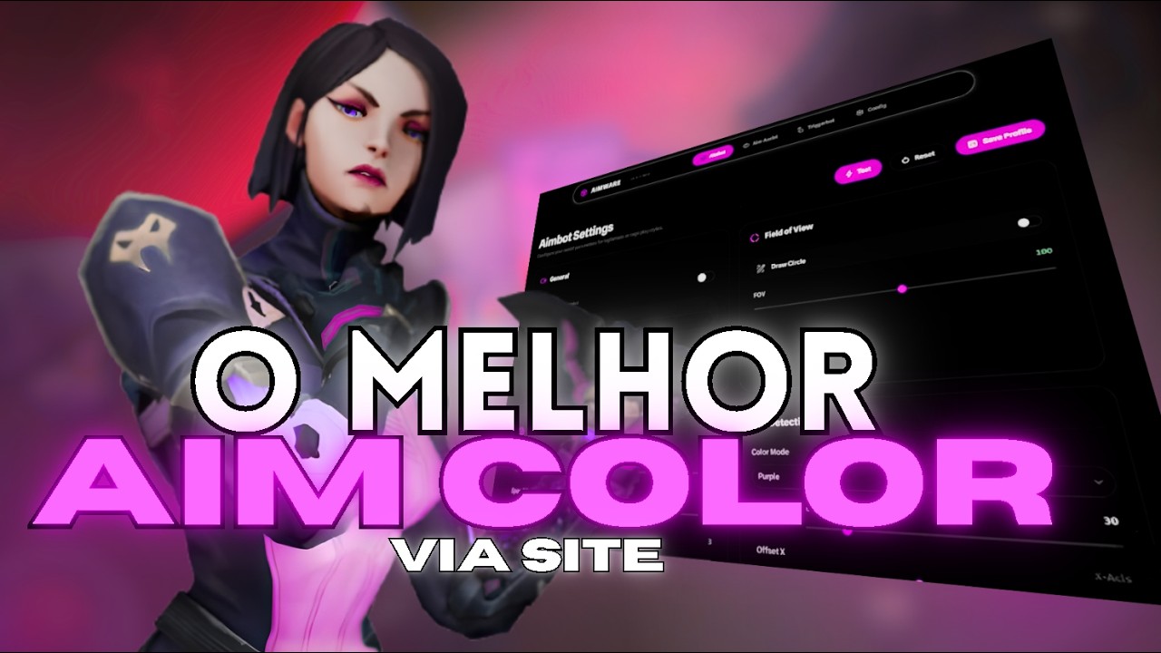 AIM COLOR VALORANT: O ÚNICO MÉTODO QUE O VANGUARD NÃO DETECTA EM 2027!