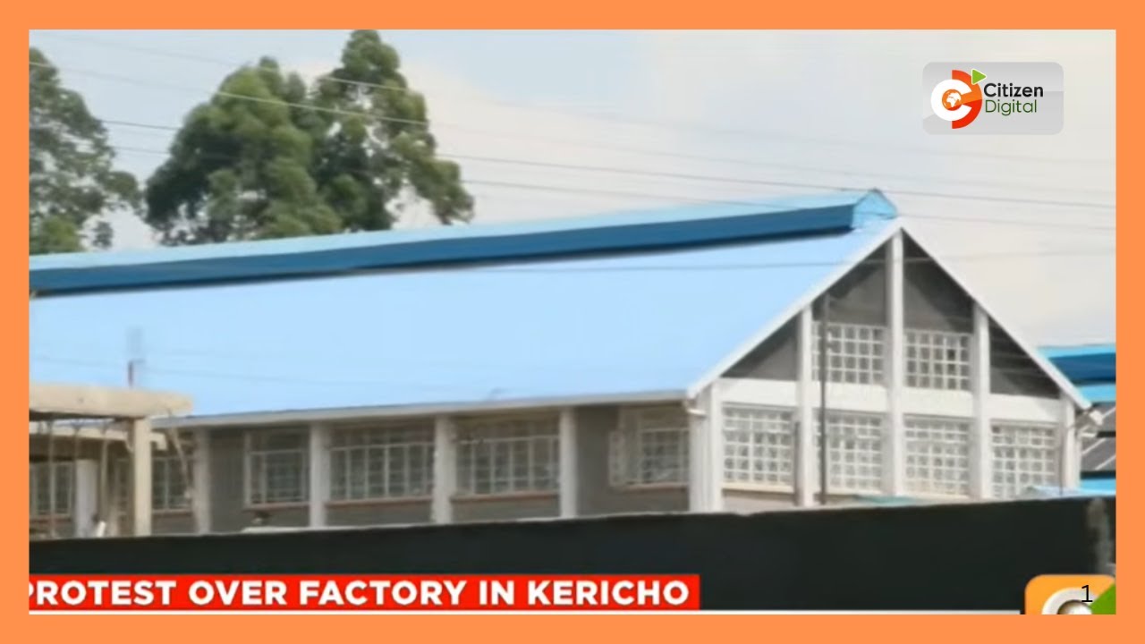 Residents of Kapsuser in Kericho County oppose the opening of a lead casting factory