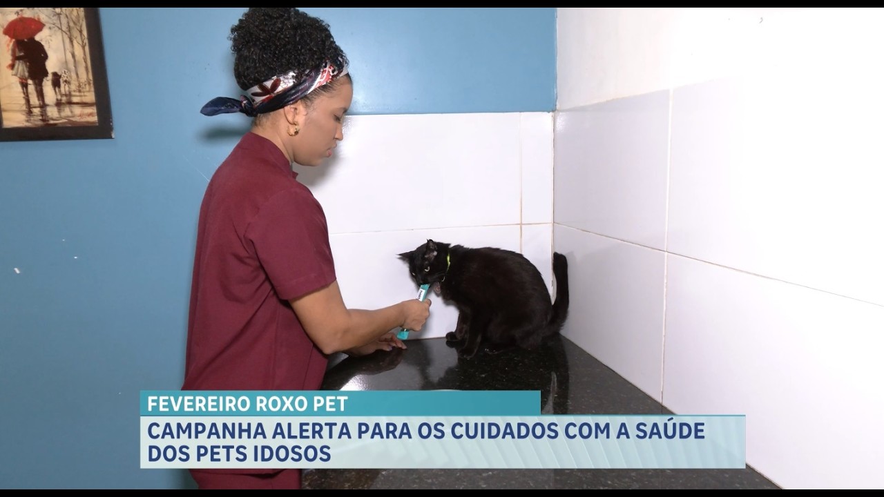 Fevereiro Roxo Pet reforça cuidados com a saúde de animais idosos