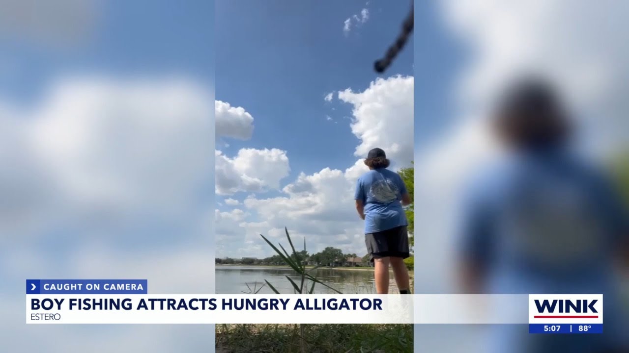Caught on Camera: Alligator chases after teen's catch while fishing in Estero