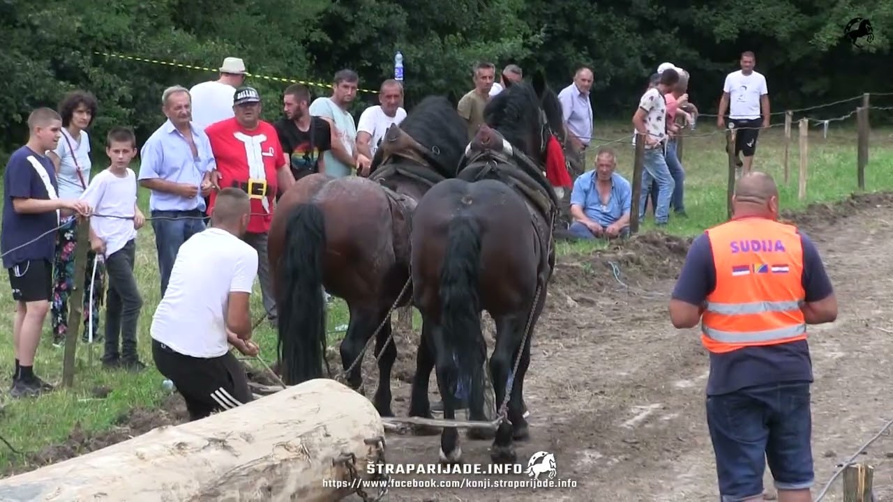 BRAĆA DRLJIĆ - MORO I CVJETKO - LAKA - &Scaron;TRAPARIJADA DOBOJ 2024