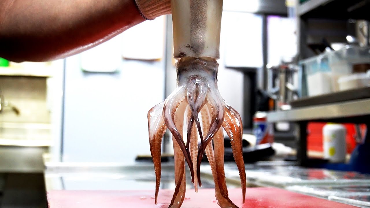 Squid sashimi game / Squid, gizzard shad, sashimi / Korean street food 오징어 회뜨기 달인!