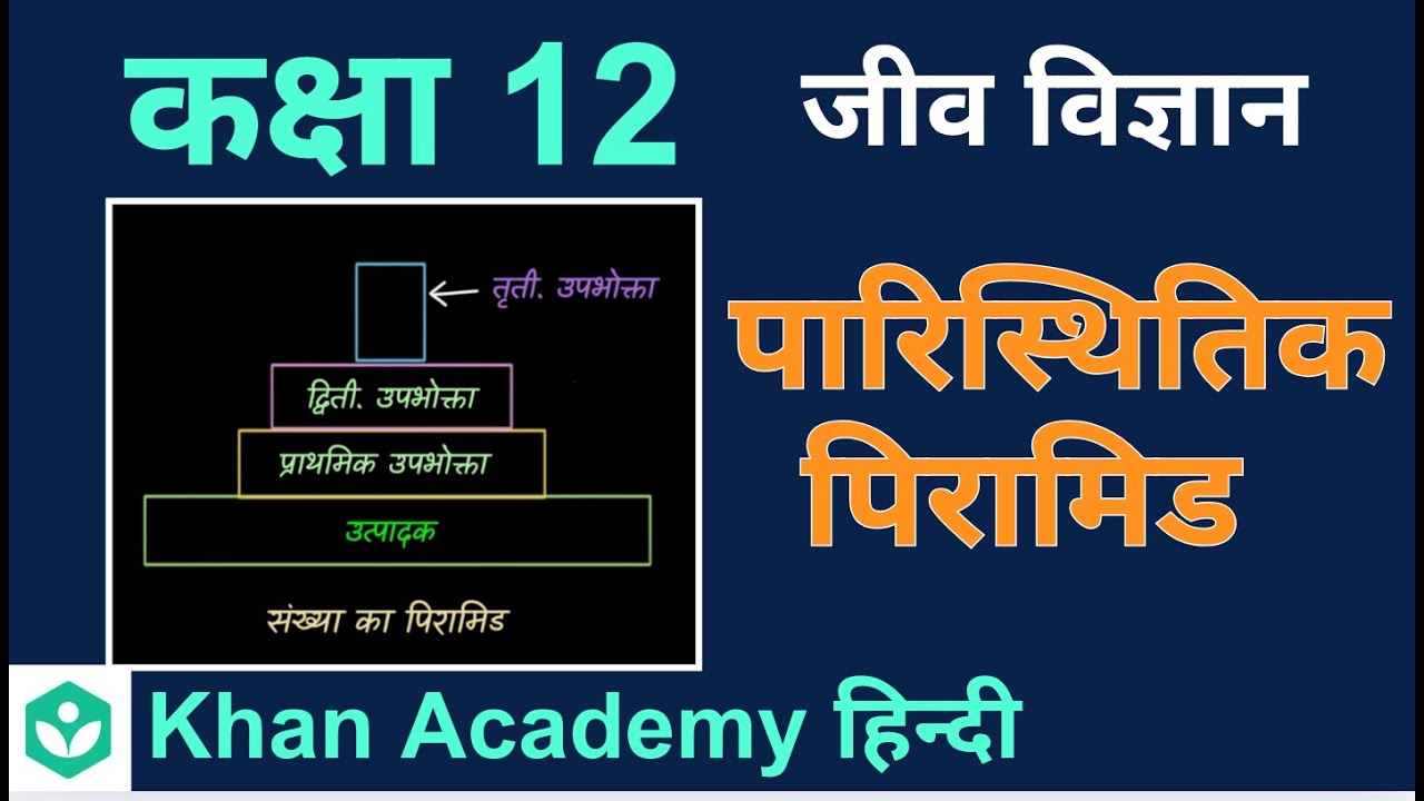 Ecological Pyramids, Part - 1 [Hindi] | Ecosystem | Grade 12 | Biology | Khan Academy