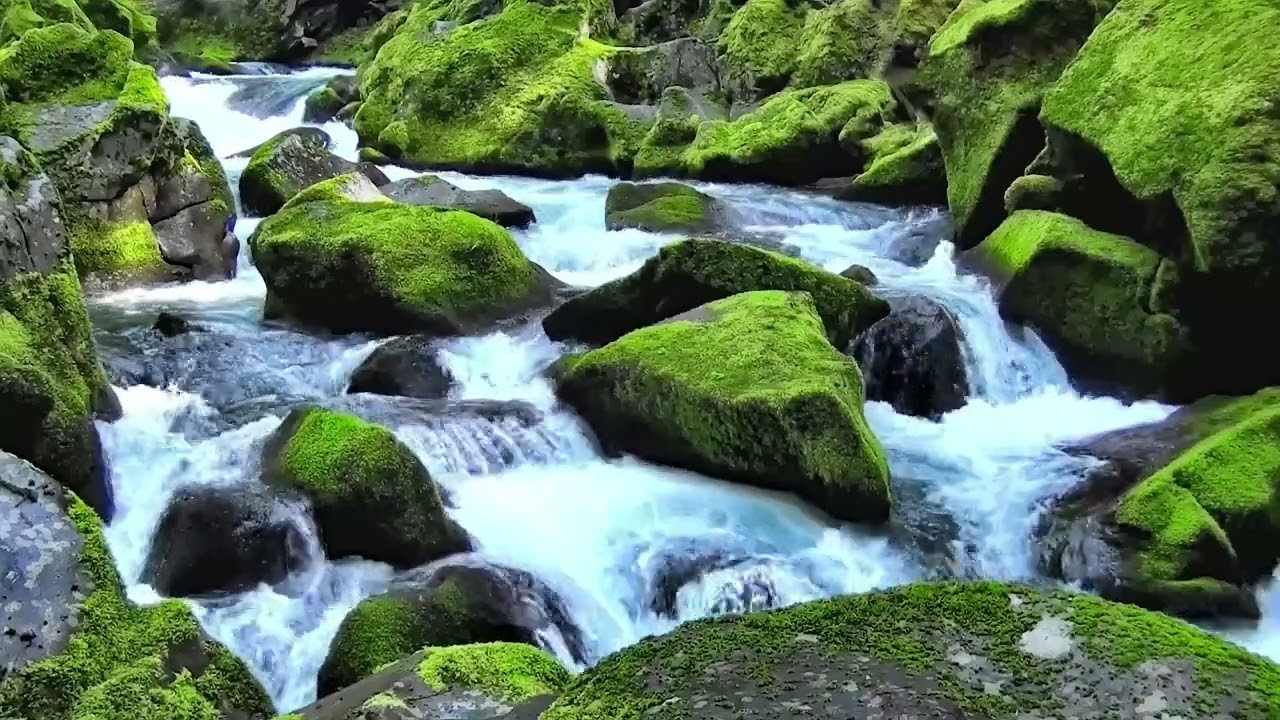 1 Hour Soothing Waterfall Ambience | Nature Sounds for Sleep, Focus & Relaxation