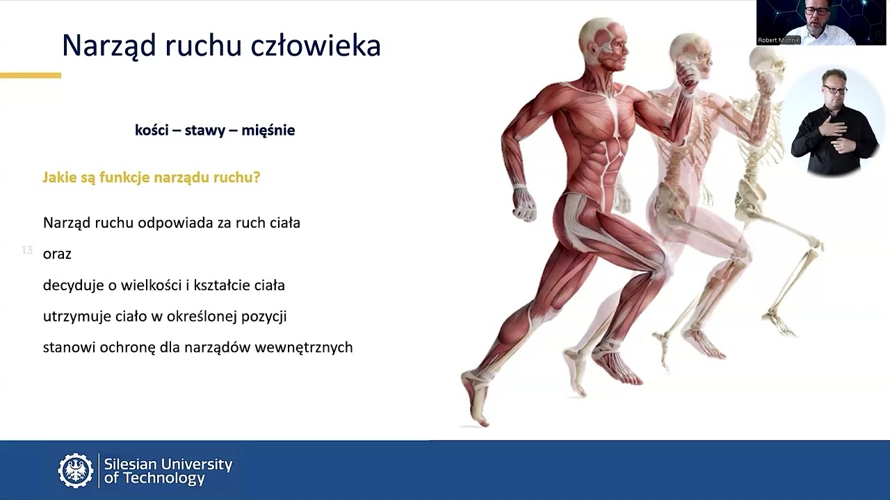 Biomechanika ciała człowieka - Robert Michnik