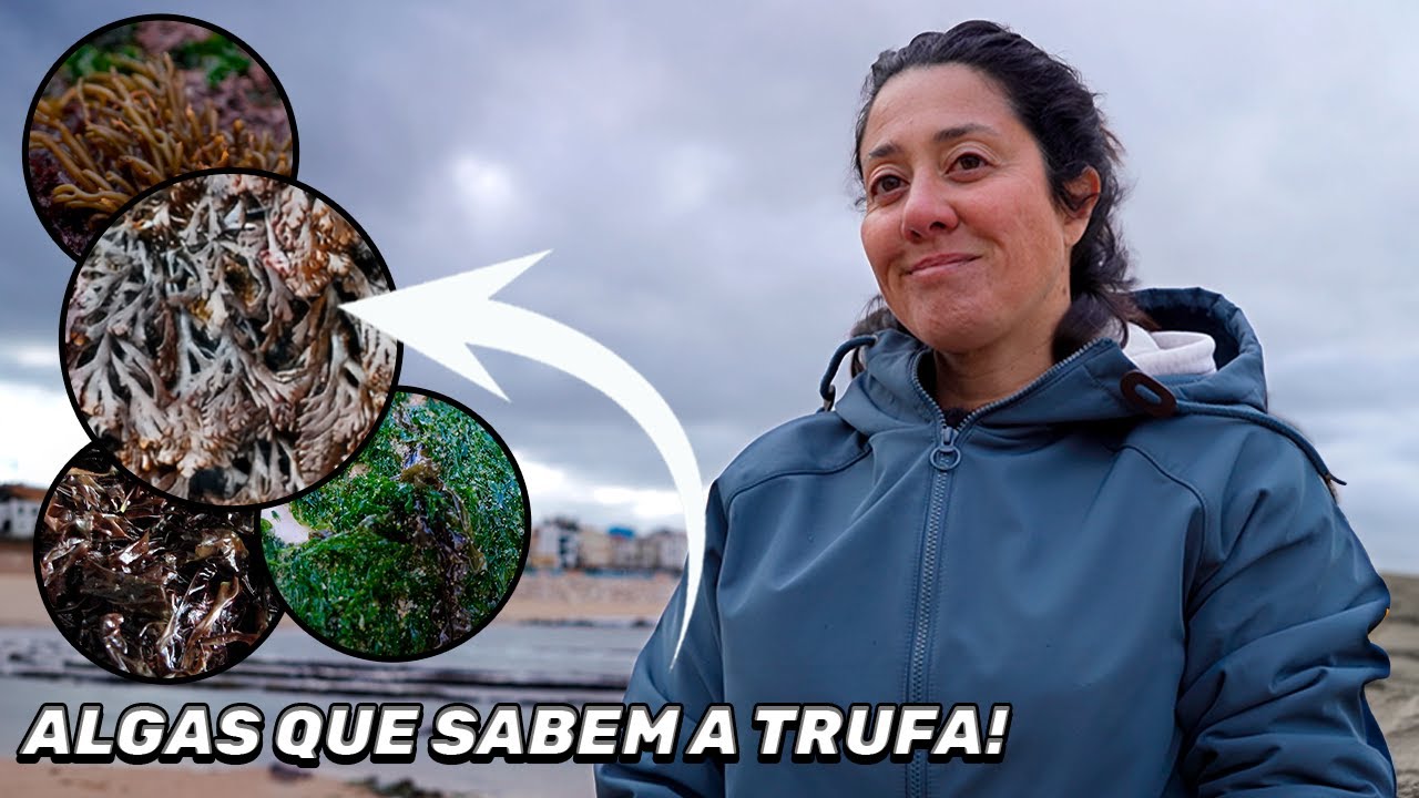 Comi 15 ALGAS apanhadas na praia...