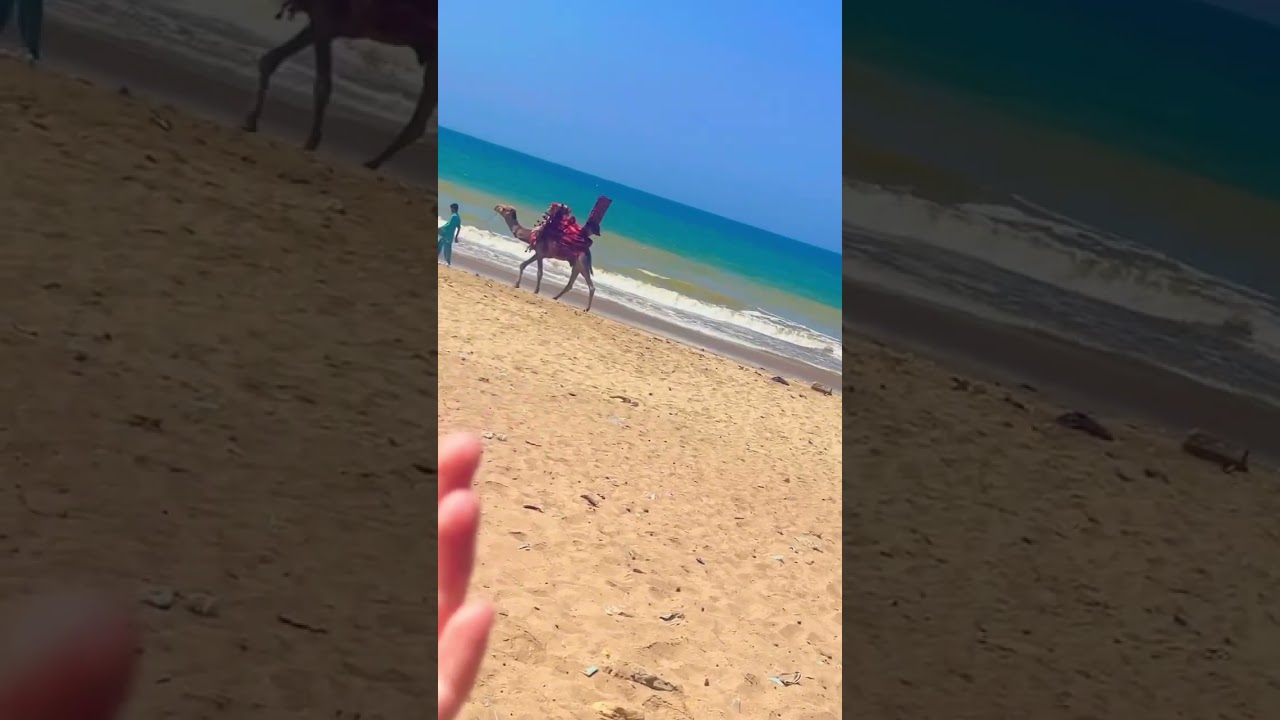 Hawksbay 🌊 | Turtle Beach 🏝️ | Karachi ❤️ #trending #youtube #shorts #beach #vlog #youtubevideo