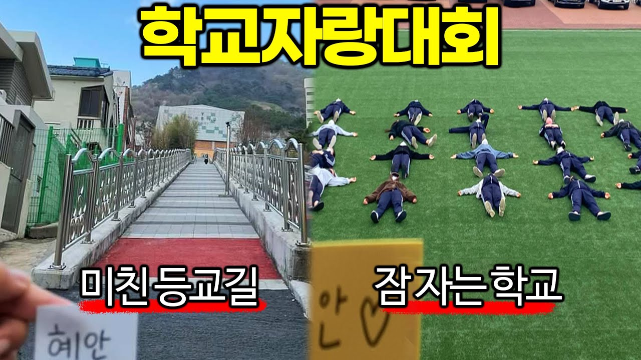 구독자는 어떤 학교를 다닐까? [학교 자랑대회]