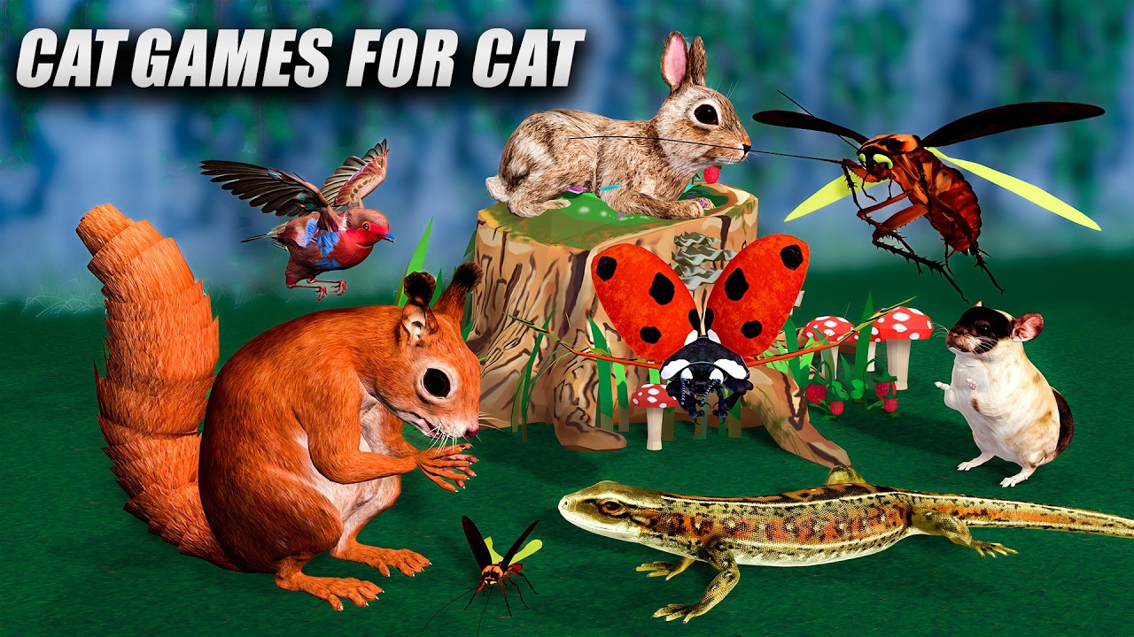 CAT GAMES | 3D Game for Cats to Watch – Ultimate CAT TV with squirrel, lizard & More! | 4K60FPS