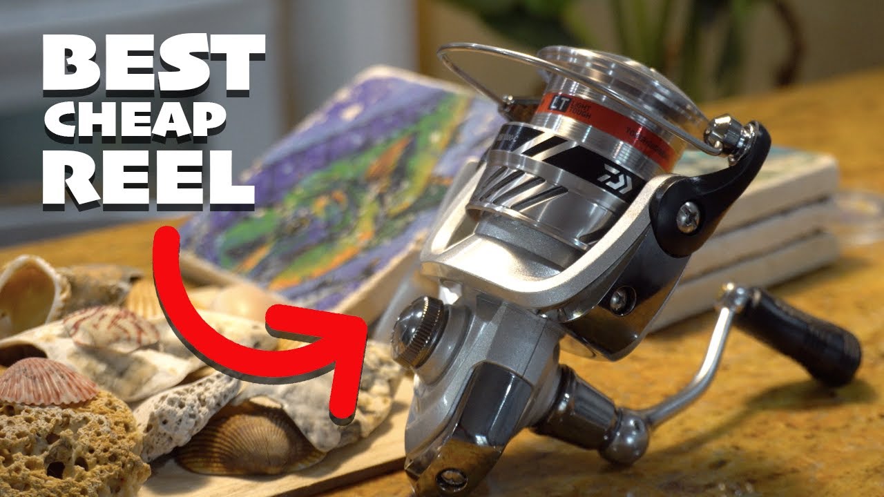 Daiwa Crossfire LT 3000 Review (Best Budget Reel)