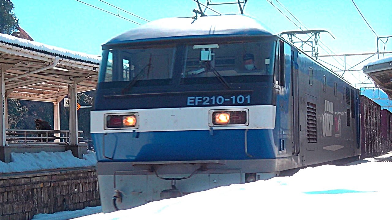長大な貨物列車が雪山のふもとの小さな駅を高速で通過。雪晴れの青空と伊吹山を背景に。2022/02/11 Fri.