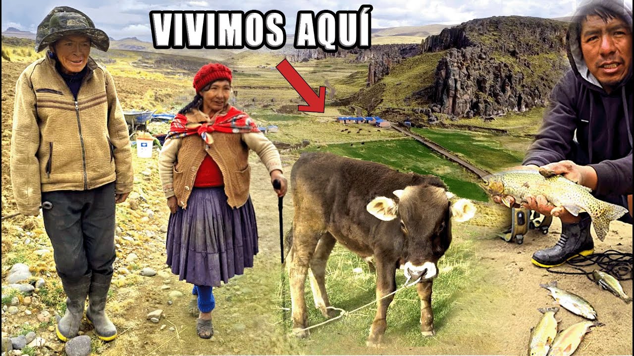 Viven en medio de un cañón ! La increíble vida de la cordillera de Los Andes!