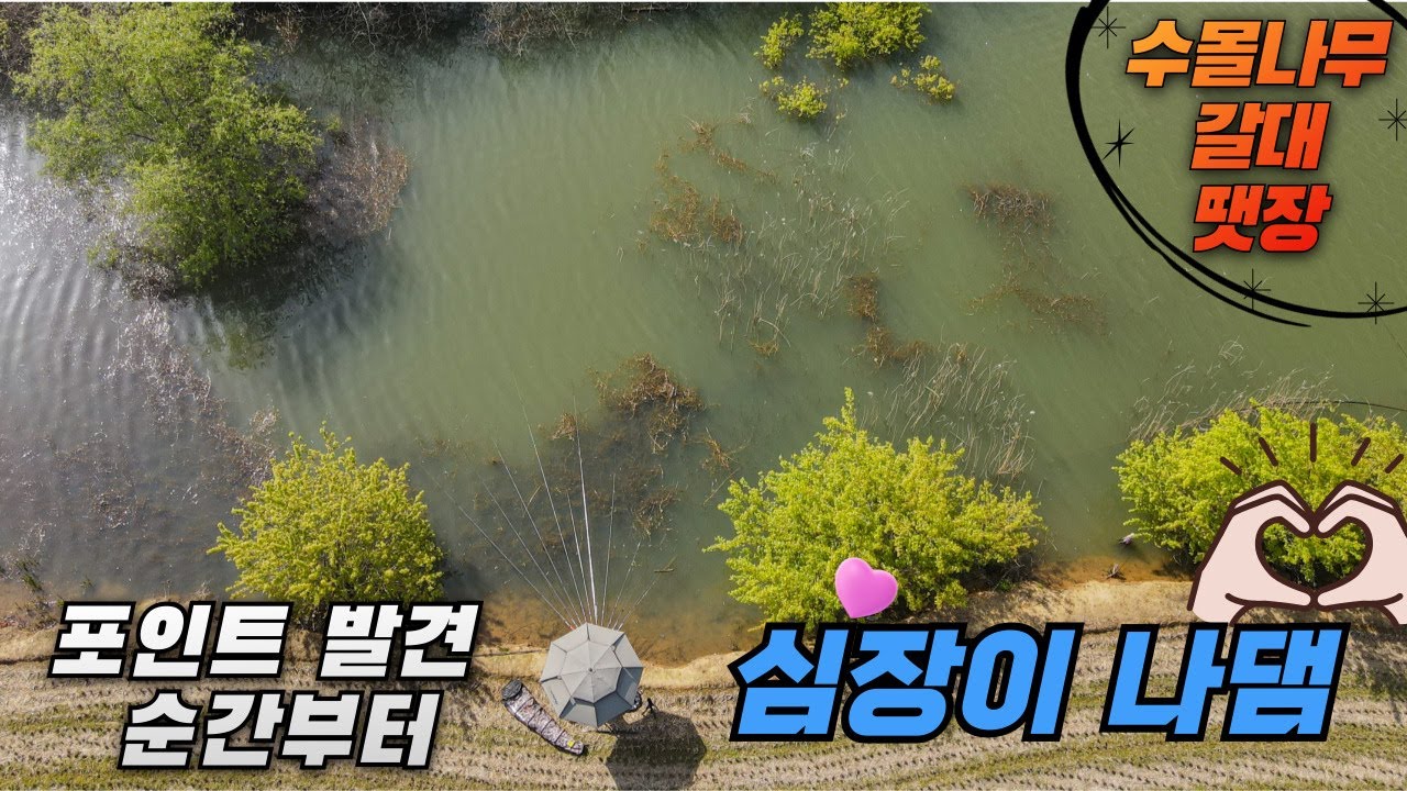 포인트 발견 순간부터 심장이 나대고있어~ 긴장 타쇼 붕어씨!!