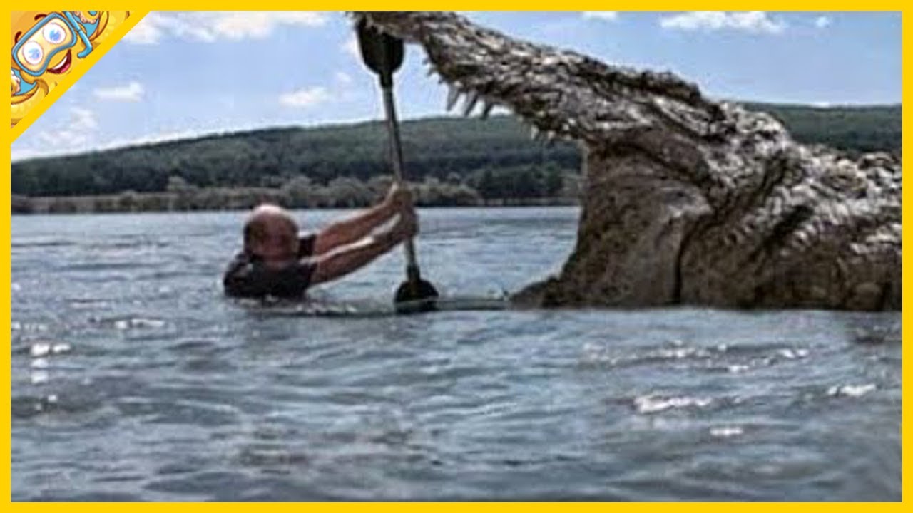10 Obřích Prehistorických Zvířat, Která Žijí Dodnes