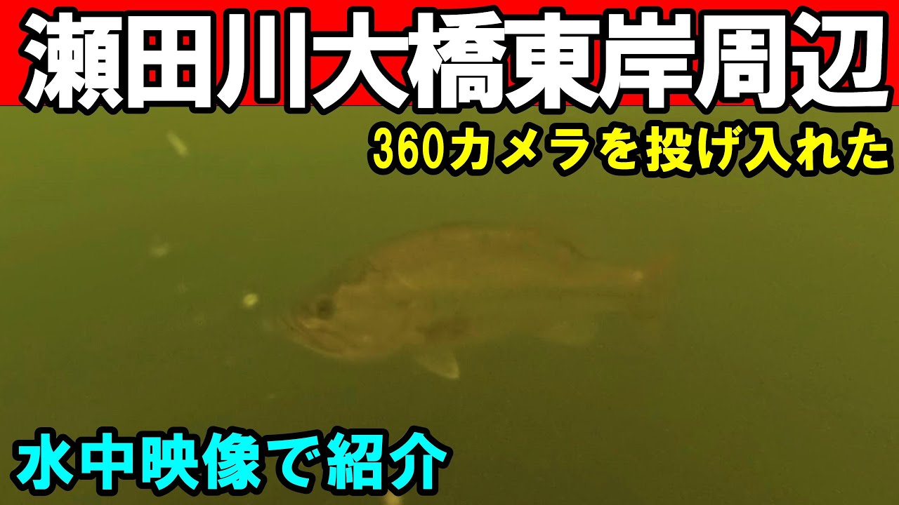 【2025年最新】琵琶湖下流の瀬田川大橋東側周辺のバス釣りポイント！水中映像で釣り場を紹介