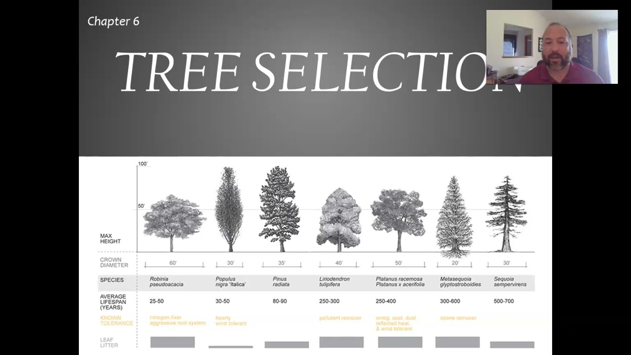 Tree Selection
